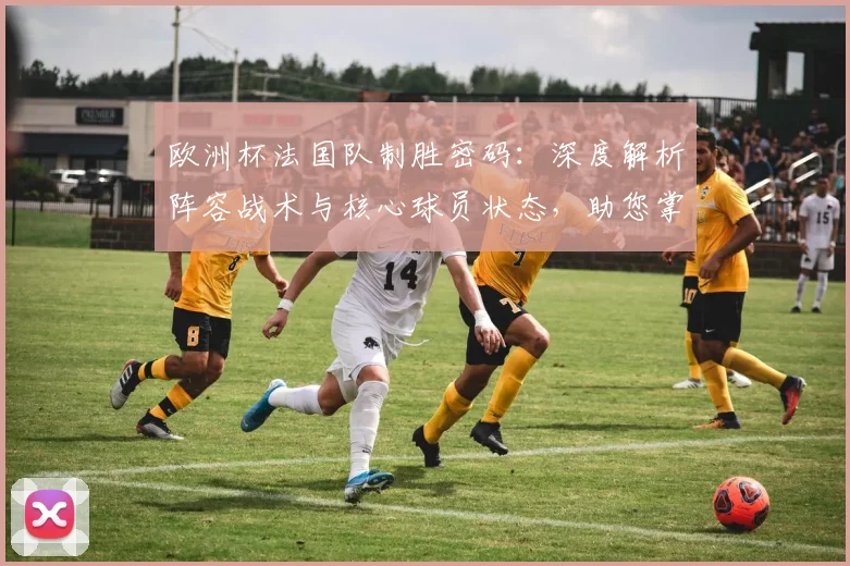 欧洲杯法国队制胜密码：深度解析阵容战术与核心球员状态，助您掌握投注关键点